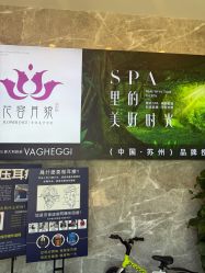 -阅年轻·AI家庭健康体质调理