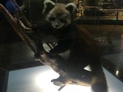 -陕西自然博物馆