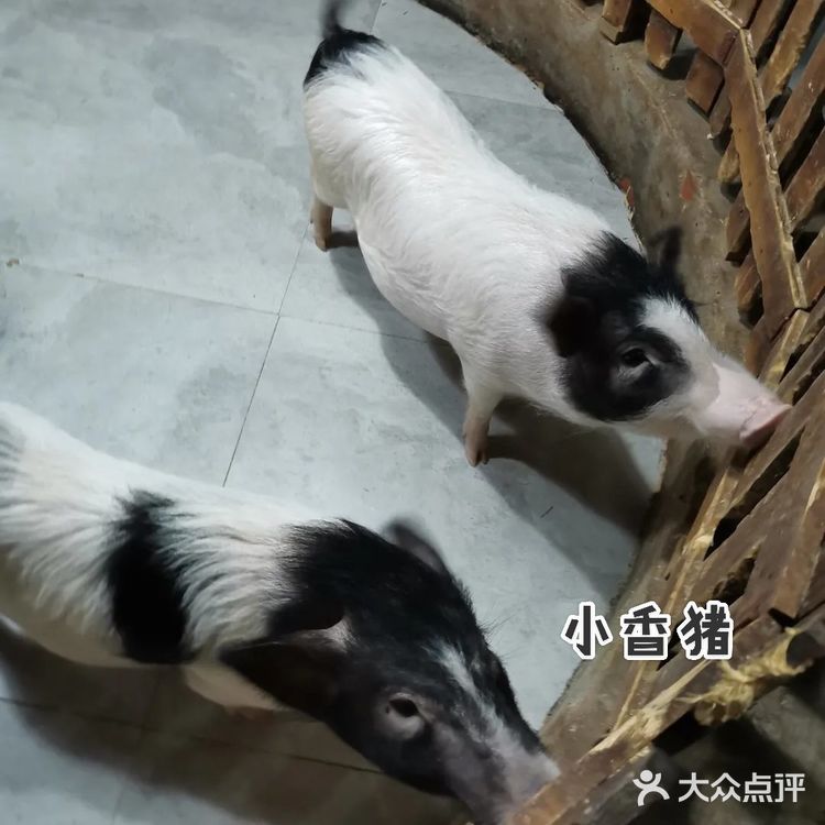 闲暇周末/欢乐海底世界