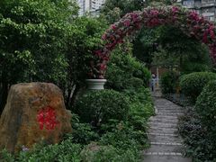 -东风公园
