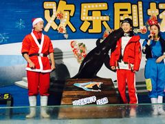 -南昌海洋公园