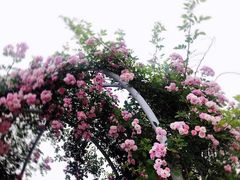 -尚贤河湿地
