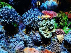 -中国湿地博物馆