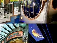 -香港海洋公园