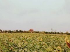 -歌斐颂巧克力小镇