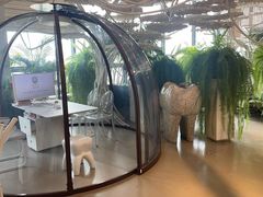 -哈尔滨圣安口腔专科医院