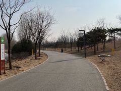 -东郊湿地公园