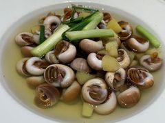 盐水玉螺-宁波石浦大饭店(新材料城店)