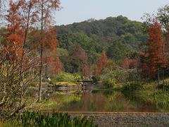 -云溪植物园