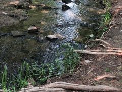 -白水寺森林公园