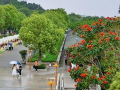 -仙岳公园
