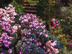 -梧桐山风景名胜区
