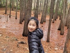 -青龙山国家森林公园
