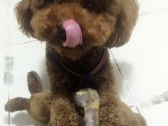 -瑞派天宁宠物医院·猫科·异宠中心