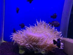 -海合安武汉极地海洋公园