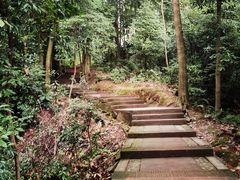 -凤栖山