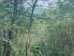 -午潮山国家森林公园