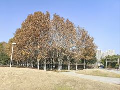 -白塘生态植物园