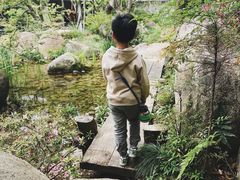 -苏州太湖国家湿地公园