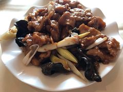 -凯鸽酒楼(操场城店)