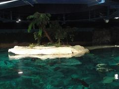 -麦当劳(海洋公园店)