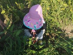 -九善农植有机生活农场