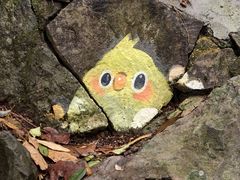 -千岛湖东南湖区