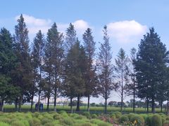 -嘉北郊野公园