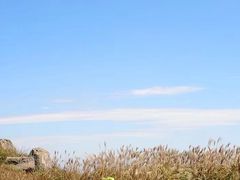 -东白山