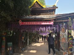 -呀路古热带植物园