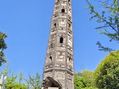 -上海佘山国家森林公园天马山园