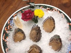 手工冰镇鲍鱼-木棉·醉心粤味(COCO Park店)