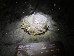 -正佳自然科学博物馆
