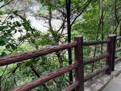 -羚羊峡古栈道森林公园