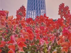 -海心沙亚运公园