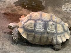 -祥源·阜阳生态乐园