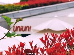 -UNIUNI(凯瑟琳广场店)