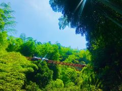 -藏龙百瀑风景区