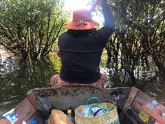 -洞里萨湖