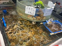 -健跳小海鲜(人民路店)