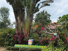 -海南热带野生动植物园