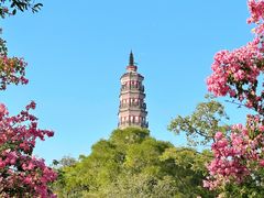 -顺峰山公园