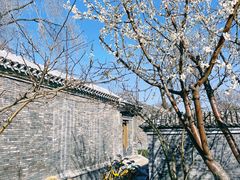 -三里河公园