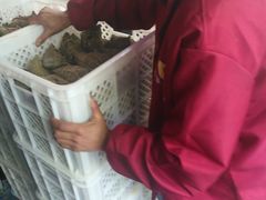 -璐坊粽王(复兴中路店)