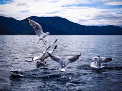 -丽江泸沽湖景区