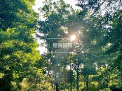 -露天矿生态公园