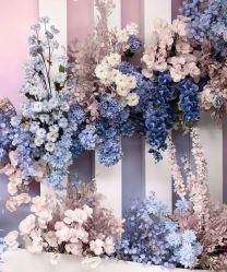 -明典婚礼策划·婚车租赁·婚纱摄影