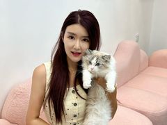 -青奢宠物·青奢猫舍