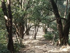 -梧桐山风景名胜区