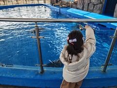 -石家庄极地海洋世界